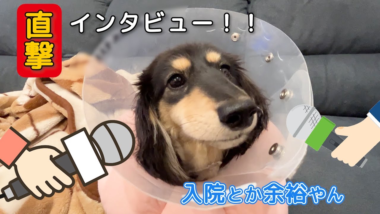 入院中どうだった？手術後の本音を聞いてみた！