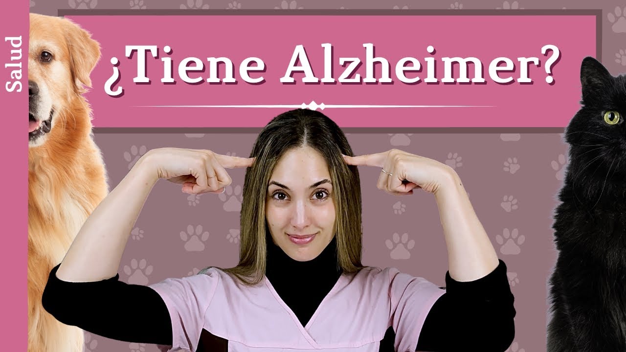Disfunción cognitiva🤯 | ¿Cómo le ayudo?