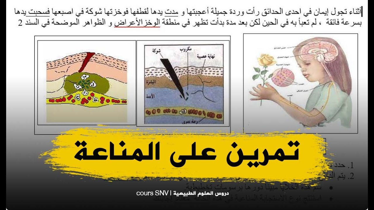 تمرين جيد حول المناعة اللانوعية علوم طبيعية للسنة الرابعة متوسط