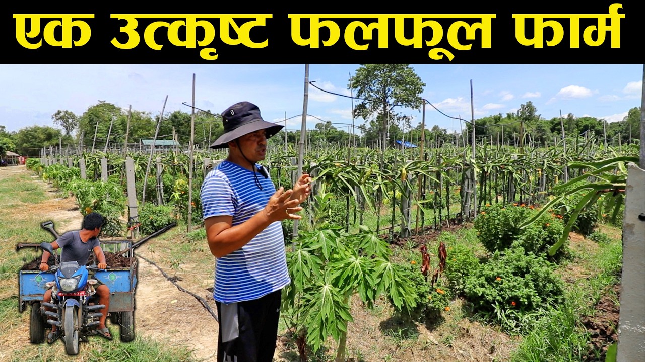 नेपालको एक नमुना फलफूल फार्म - An Exemplary Fruit Farm in Nepal