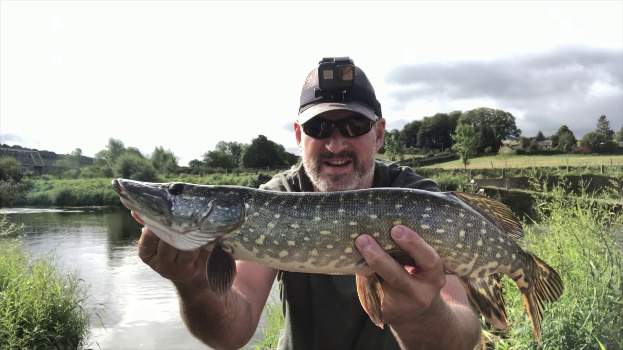 Lure fishing the middle River Severn and Stourbridge canal