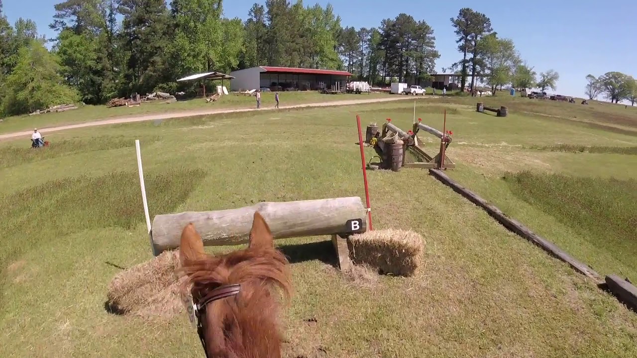 Holly Hill HT 2019 GoPro- Training Level