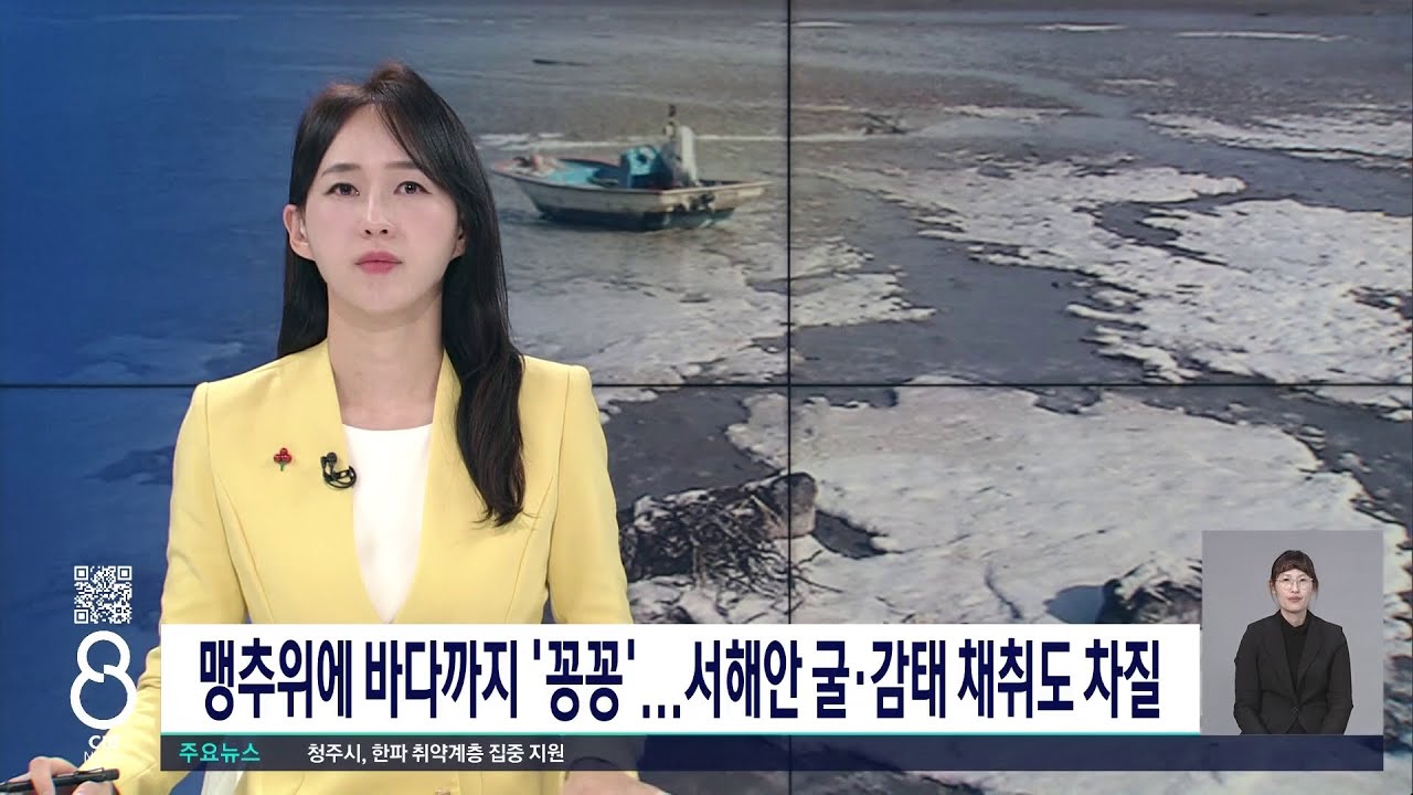 바다도 꽁꽁..어·농민 비상/TJB