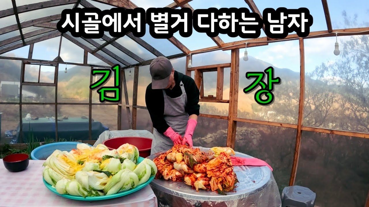 배추 수확은 처음이라~ / 김장해서 장독에 묻기 / 콜라주 수육에 막걸리😋 / 가마솥 시락국밥