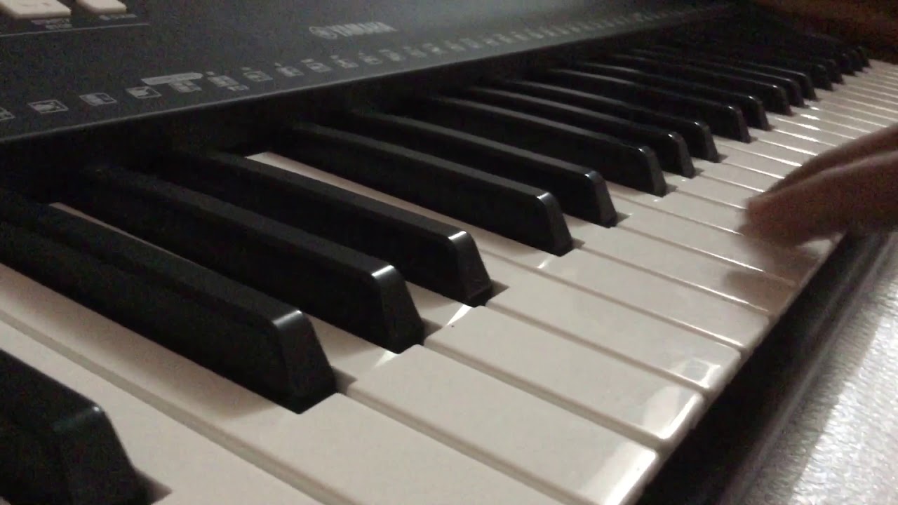 Natasarvabhowma panoramal action in piano