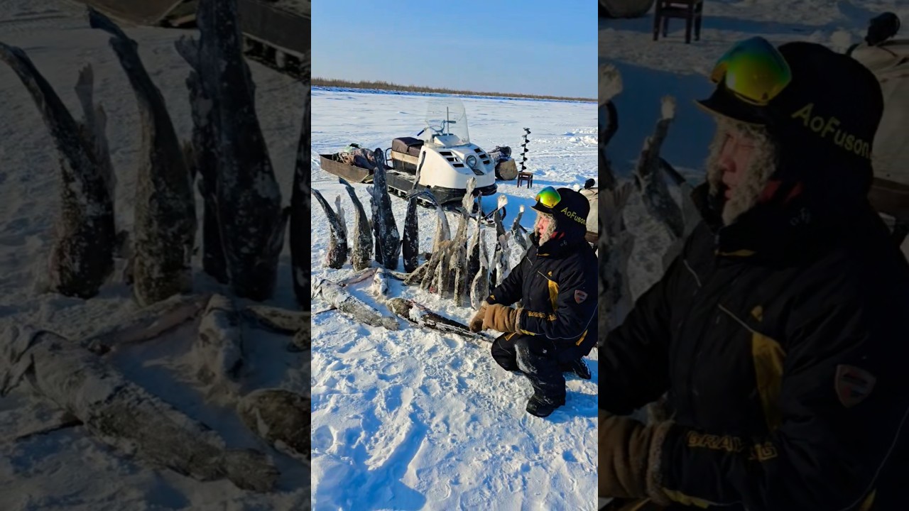 🎣 Зимняя рыбалка в Якутии 🏔 #якутия #зимняярыбалка #yakutia #winterfishing