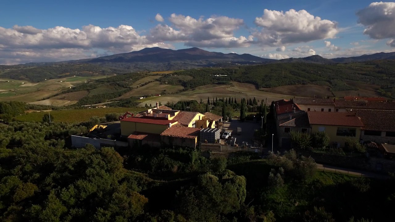 Frantoio Franci - tra Amiata, Maremma e Val d'Orcia - Produttore di Olio Extra Vergine di Oliva