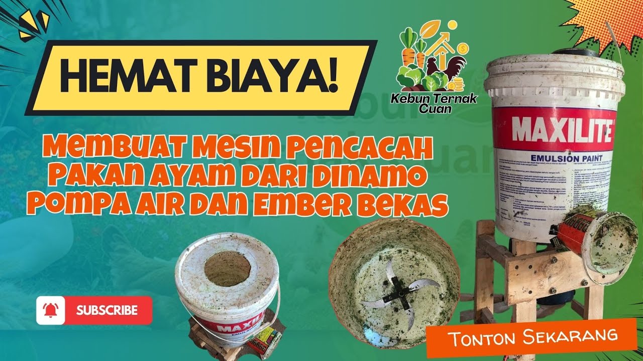 Hemat Biaya! Cara Membuat Mesin Pencacah Pakan Ayam dari Dinamo Pompa Air dan Ember  Bekas
