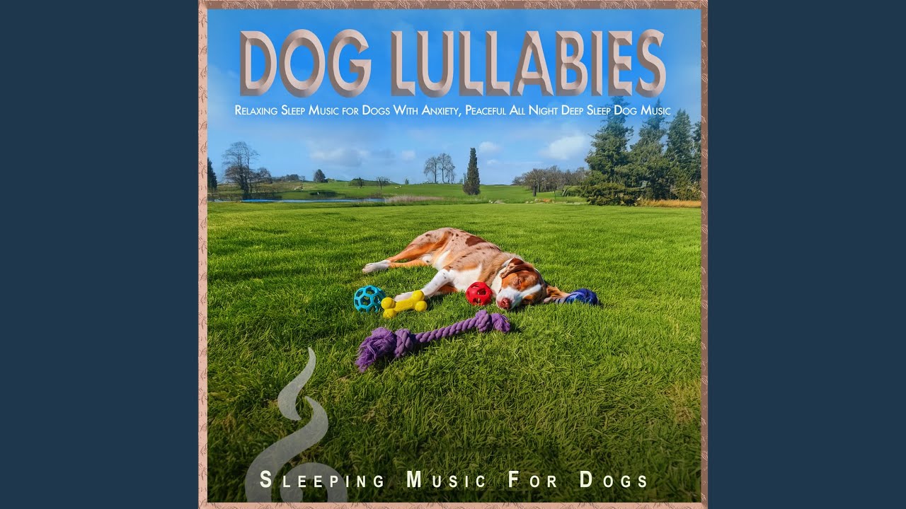 Calming Sleep Music for Dogs