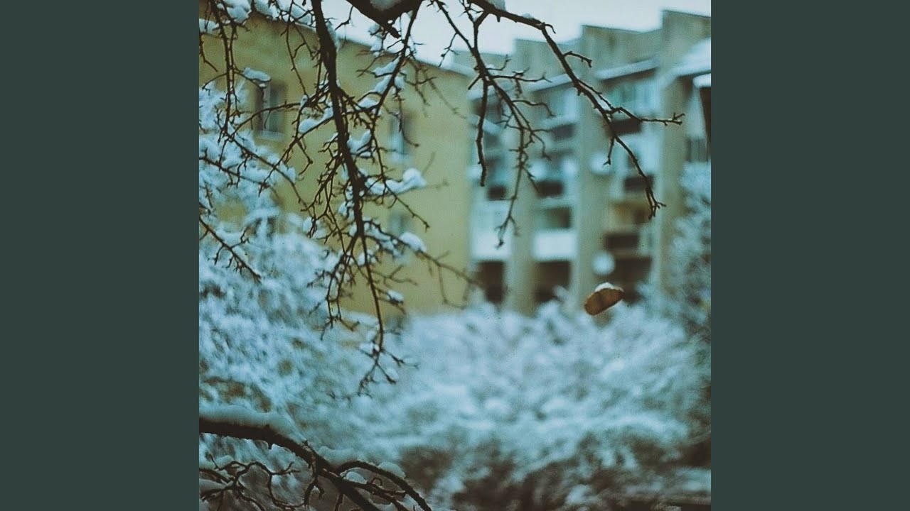Сніг