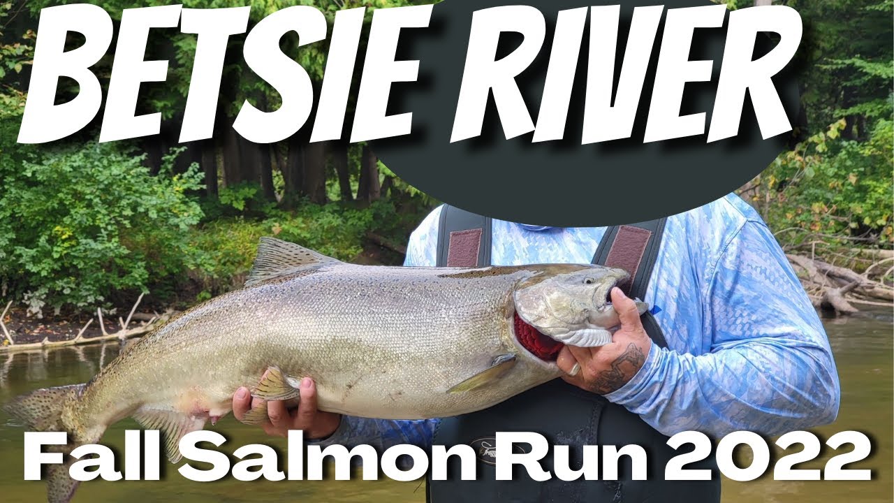 Betsie River Michigan Fall Salmon Fishing 2022