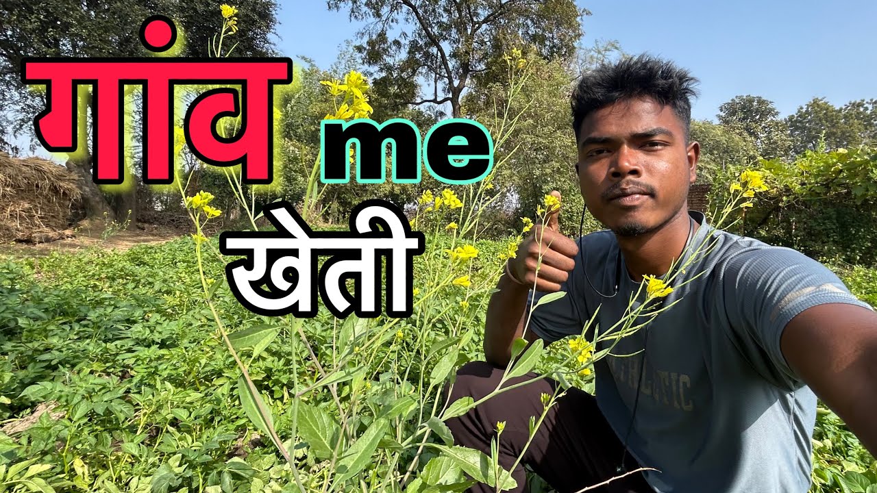 Gaaw Ki Kheti Vlog || Daily Vlog 
