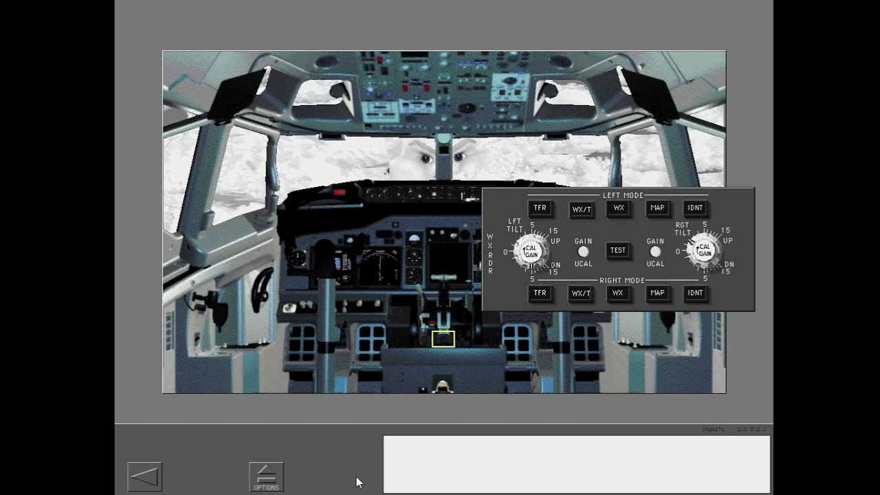 40. Boeing 737NG - Weather Radar