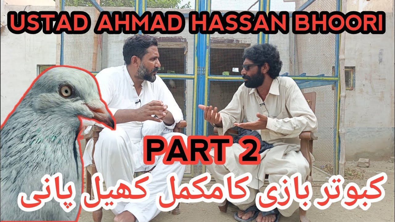 IK SHOK KABOTAR BAAZI DA INTERVIE PART 2|| KABOTAR KO BAAZI ME URANE KA KHEL PANI