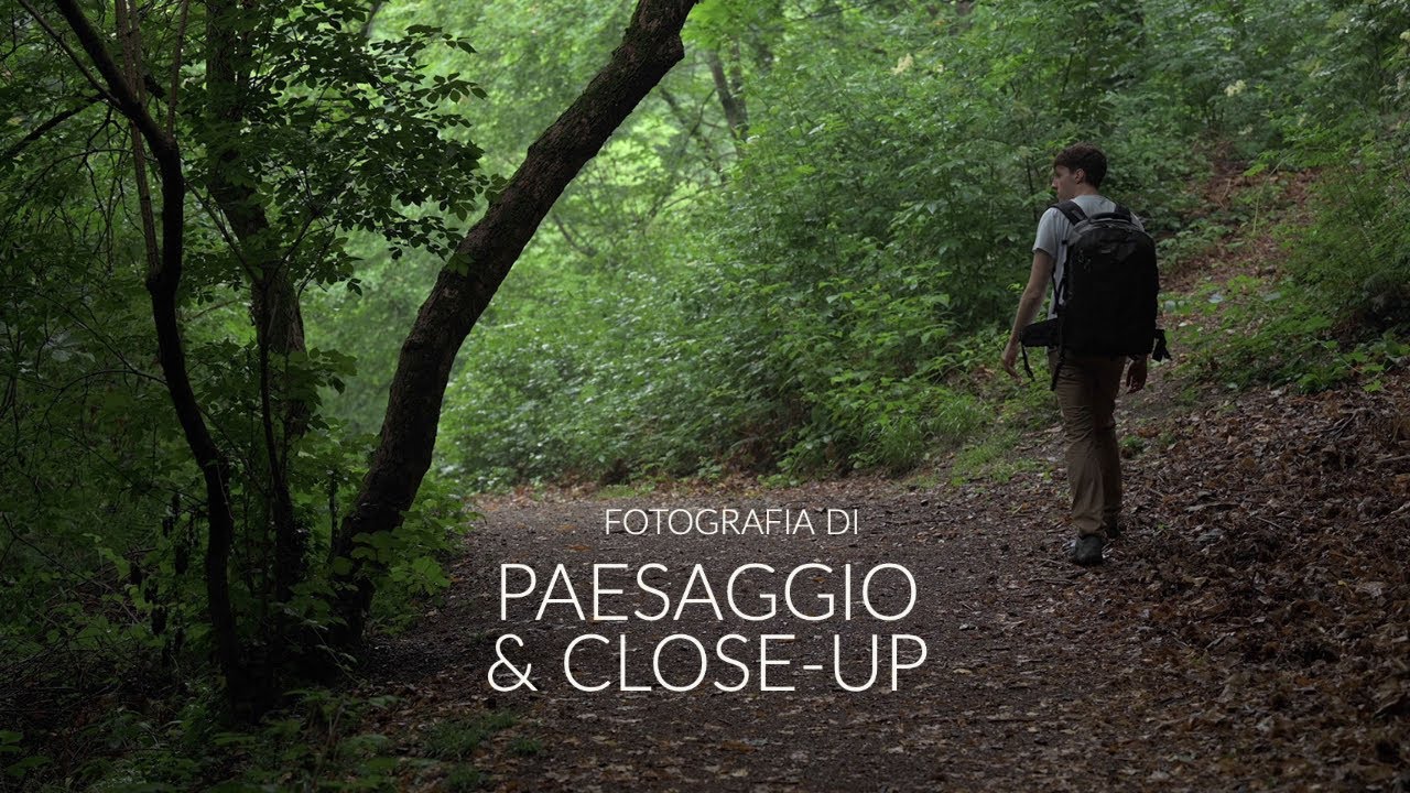 Il Bosco dopo la Pioggia - Fotografia di Paesaggio & Close-Up