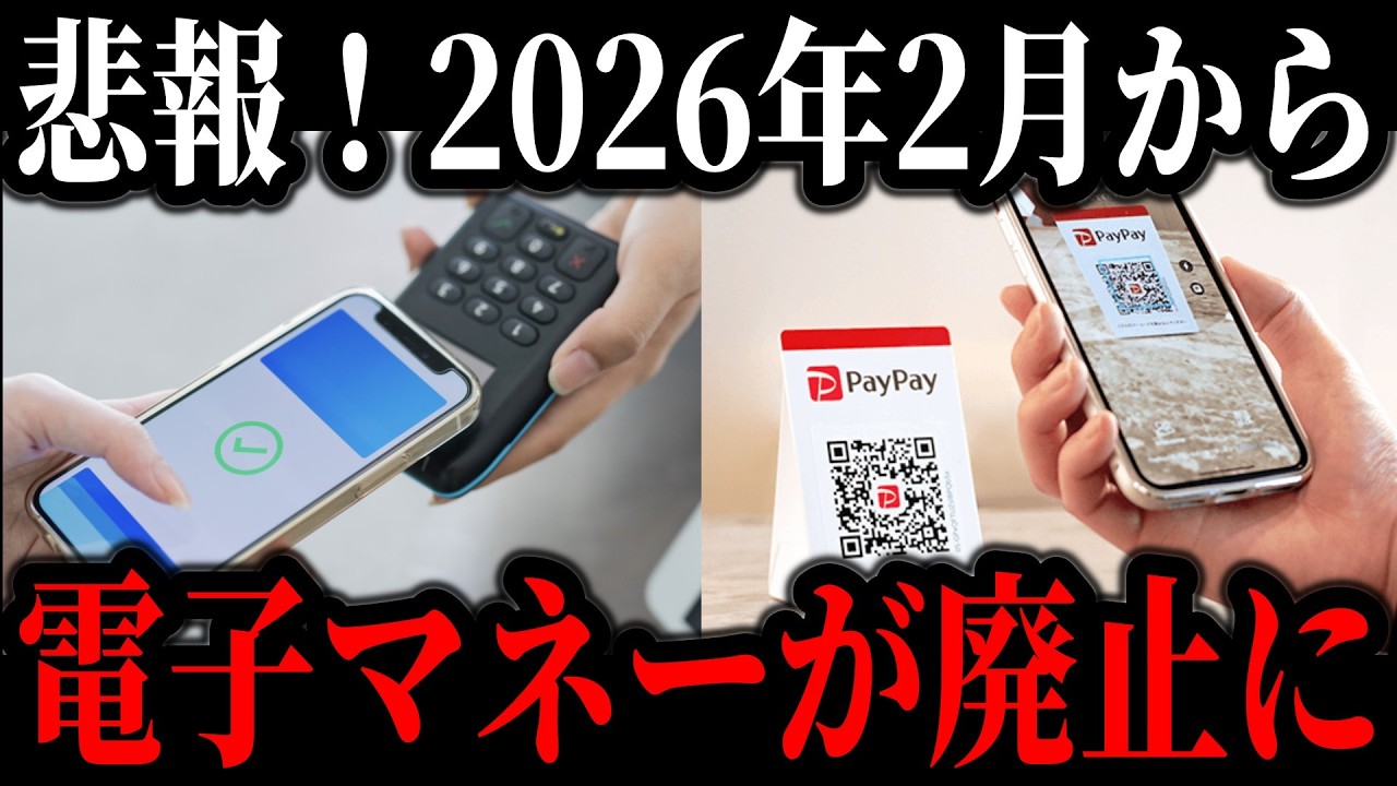 日本の政府が推進し続けるキャッシュレス決済がオワコンに…高すぎる手数料でコンビニ・スーパー・飲食店から次々と廃止に【paypay】【ゆっくり解説】