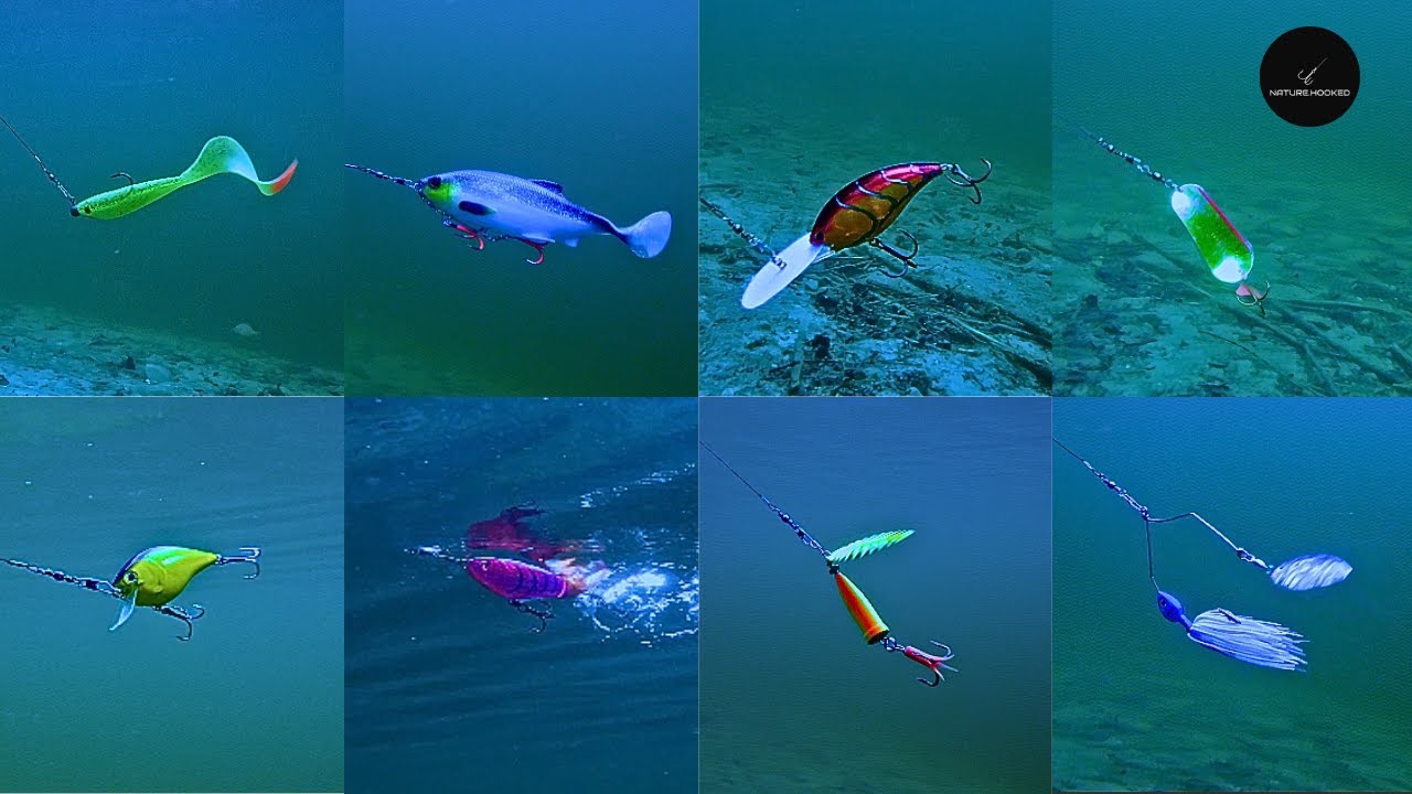PIKE POV: Real Underwater Lure Action & Sounds 🎣 (Spinnerbait, Plopper & More!)