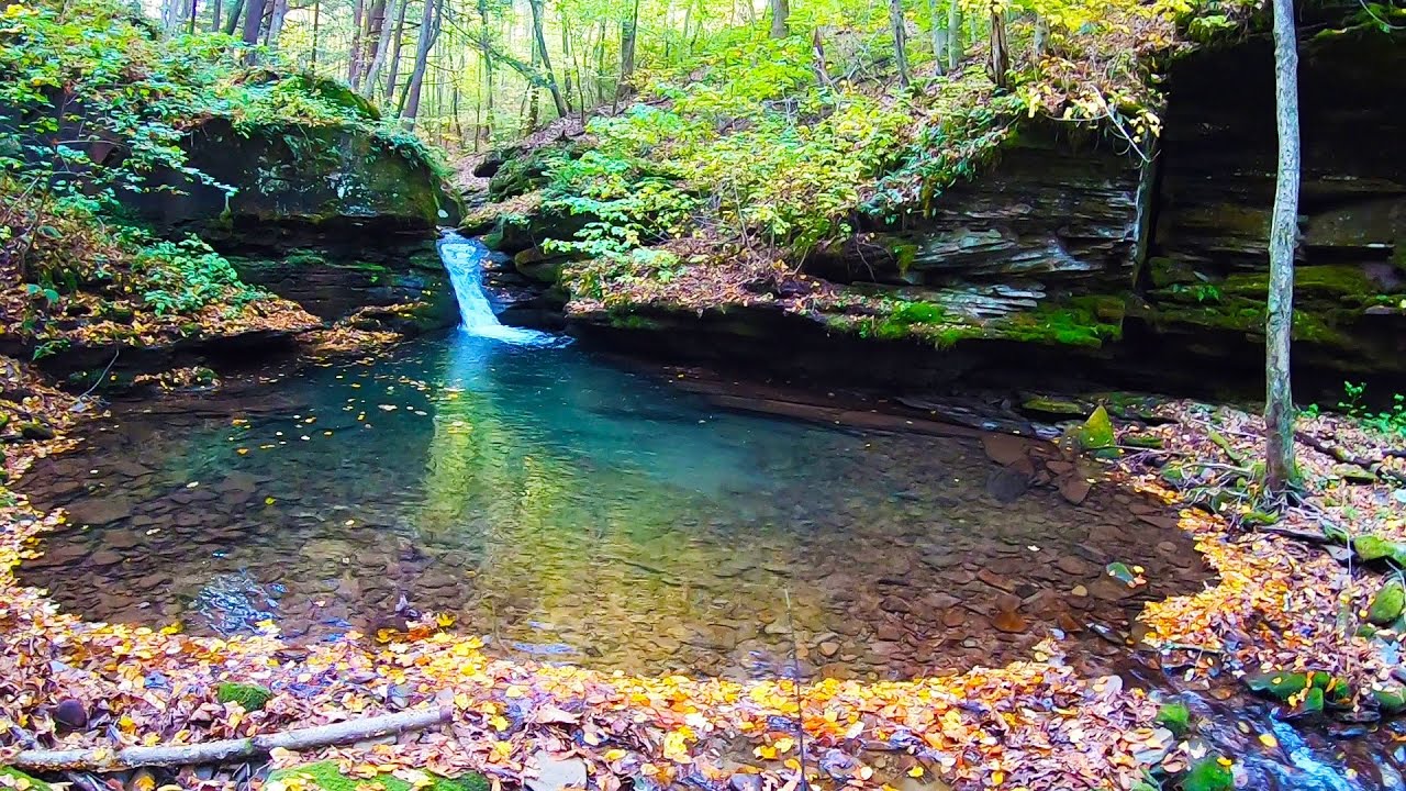SECLUDED Miller Run Trout Slam (Pine Creek PA Trib.)