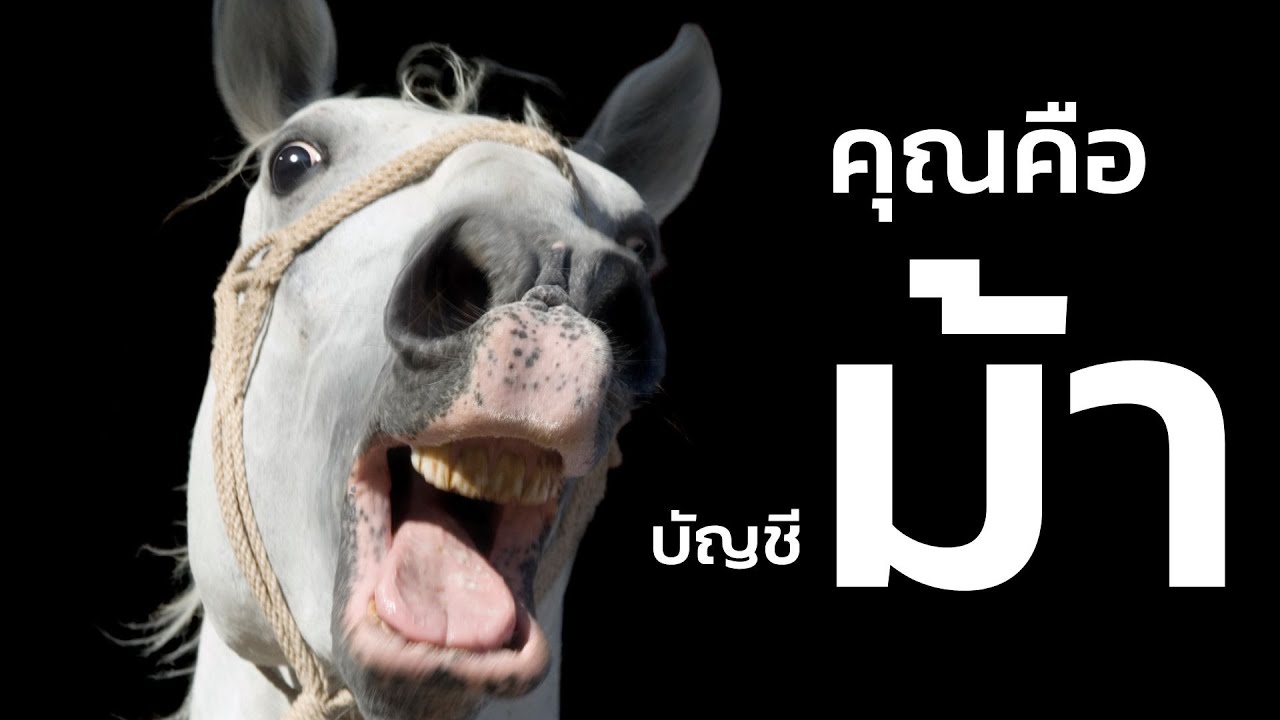 อายัดบัญชีม้าแต่ว่าโดนบัญชีคุณ