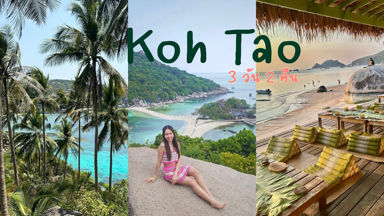 Koh Tao เกาะเต่า 3 วัน 2 คืน พาไปกิน เที่ยว ดำน้ำดูเต่า ครบ 🐢🌴 | vlog สุราษฎร์ธานี