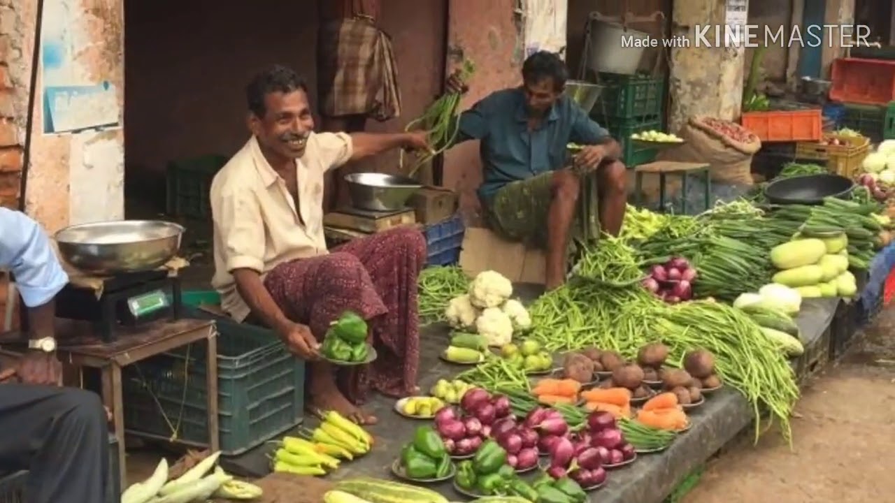 Entdeckungs-Tour durch Trivandrum Chalai Markt,Goldschatz vom Sri Padmanamaswami Tempel, Sarasvati