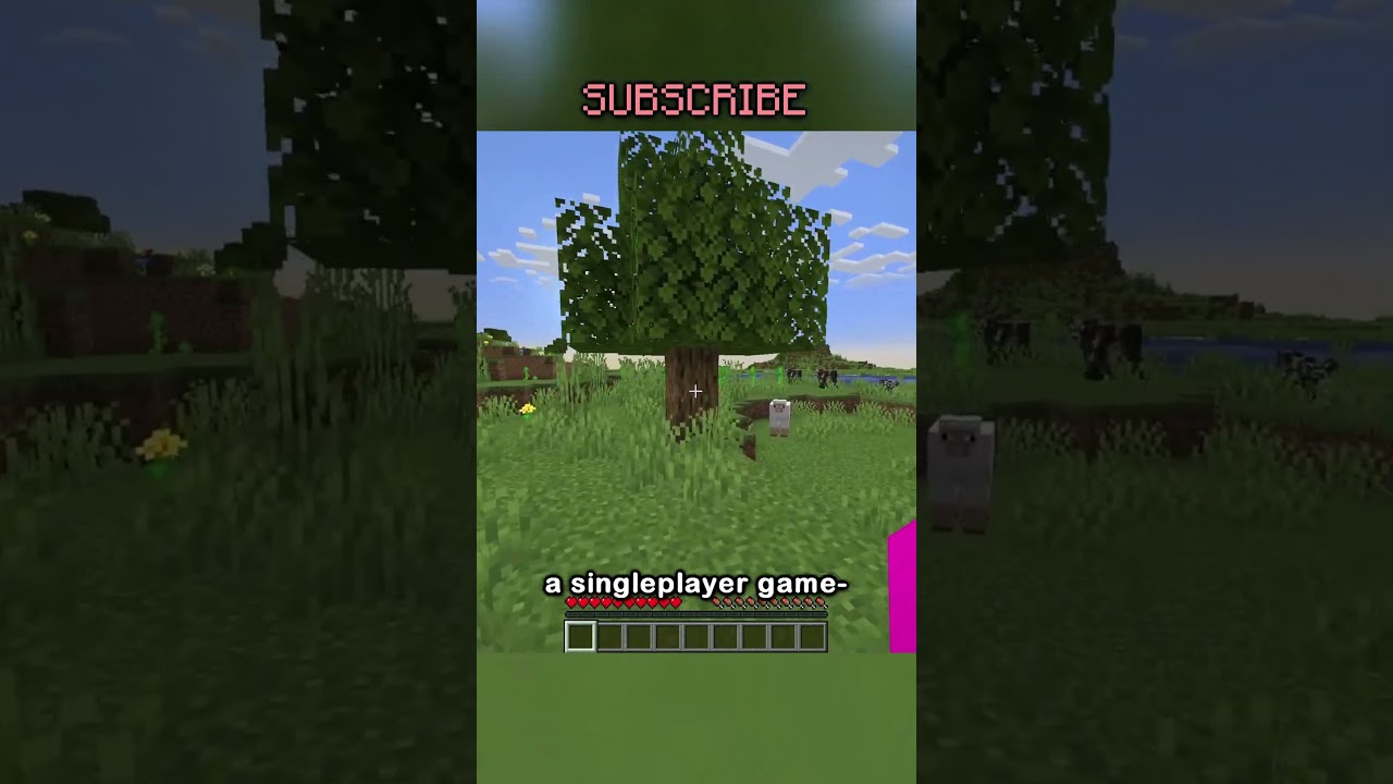 Minecraft Multiplayer Rant