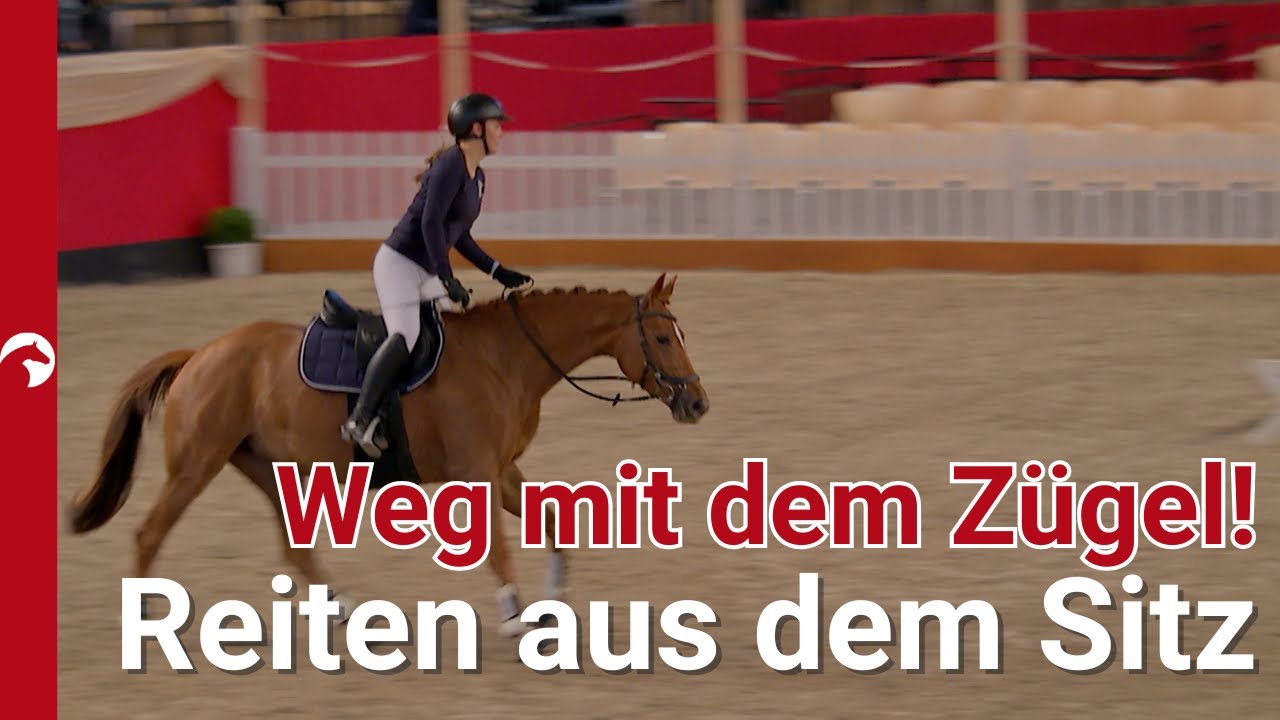 Zügel weg – Reiten mit Gewichtshilfen | Christoph Hess zeigt, wie leicht Übergänge doch sein können