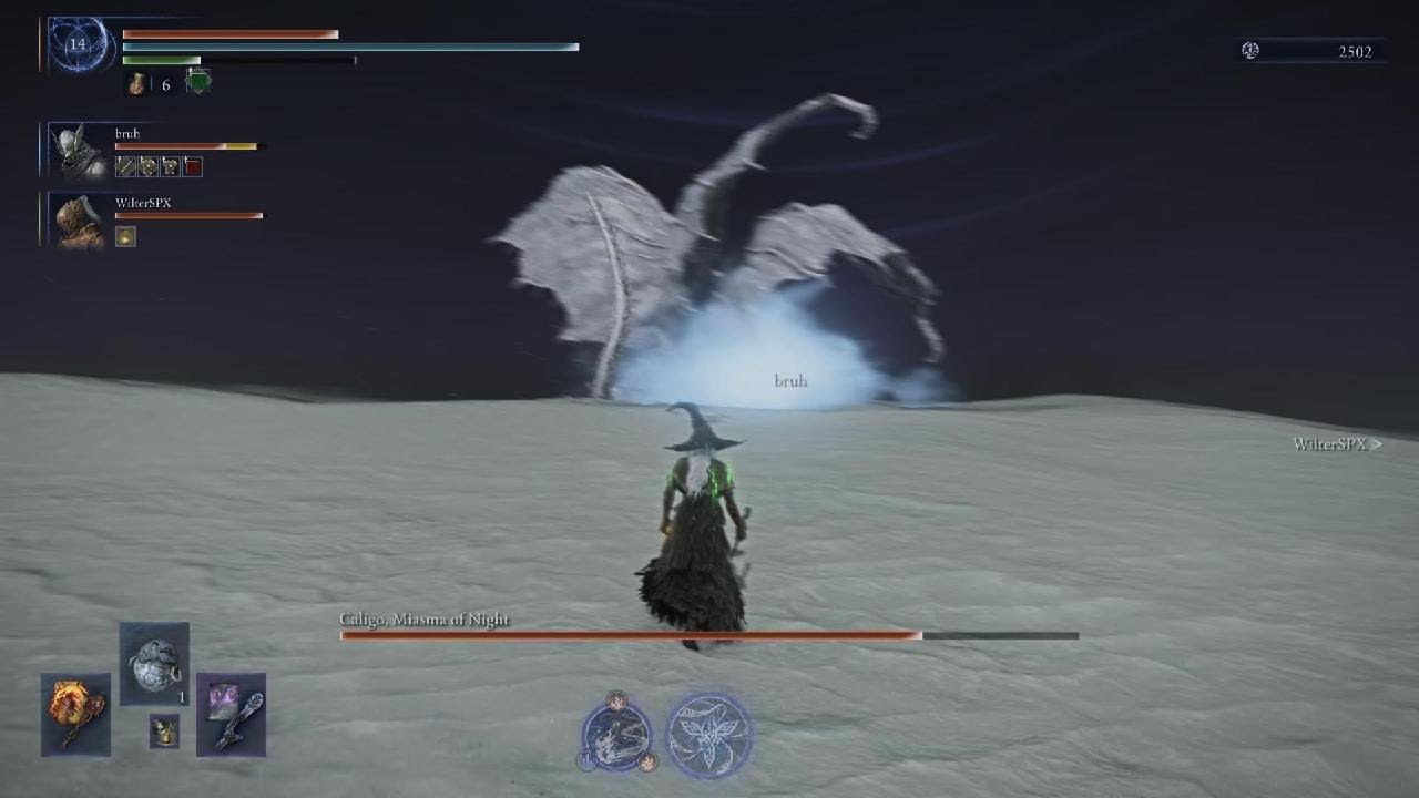 ELDEN RING NIGHTREIGN: Caligo, Miasma of Night. Recluse coop (PS5)