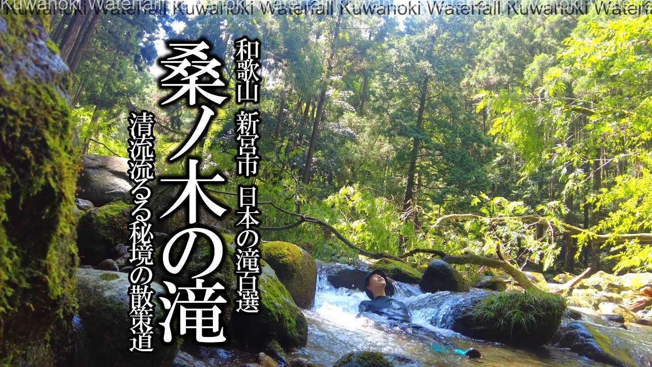 【🐼和歌山旅】秘境感あふれる「桑ノ木の滝」で清流の流れる散策道を歩いて癒される