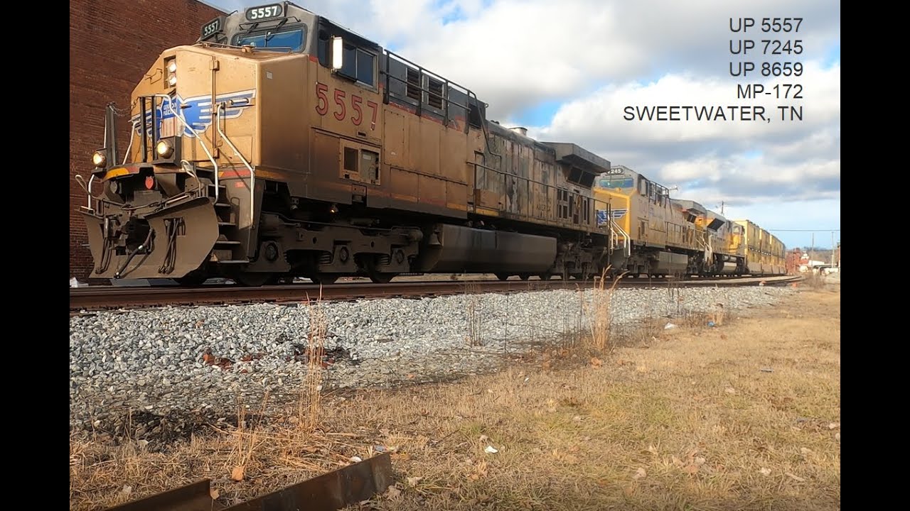 UP 5557, UP 7245, UP 8659.  Sweetwater, TN