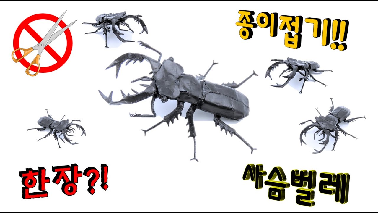 종이접기 루카누스 커부스 유다이쿠스 사슴벌레 곤충 한장접기 / Origami Lucanus cervus judaicus 2.0 -김영웅/origami_kimiro