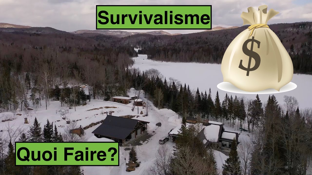 L'ARGENT | Benoît Survivaliste