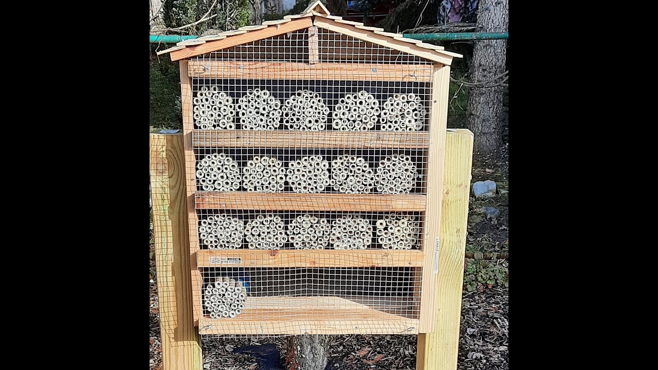 Starostlivosť o včielky samot&aacute;rky vo febru&aacute;ri.  Rozl&iacute;&scaron;enie kok&oacute;nov osmia rufa a osmia cornuta.