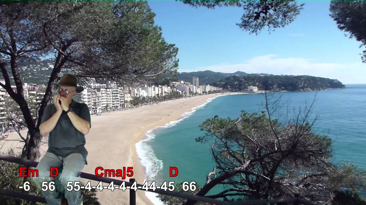 n&ordm; 085 Another Day In Paradise ( Phil Collins ) tutorial armonica ( A ) chords guitar Mundharmonika
