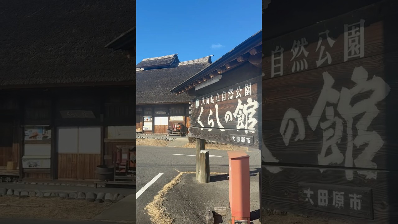 朝霧 手刈り 八溝そば 大田原 #おおたわらの食の味力