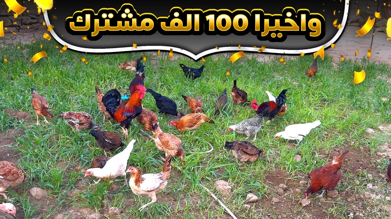 واخيراً 100 الف مشترك🥹❤️يمتة اطلع وجهي؟؟