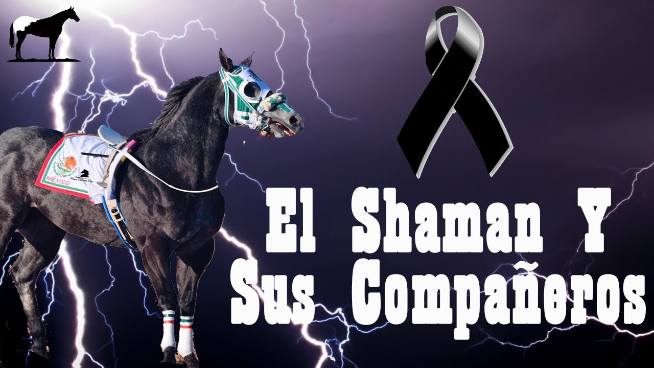 ¿Por qué Los Durmieron? 