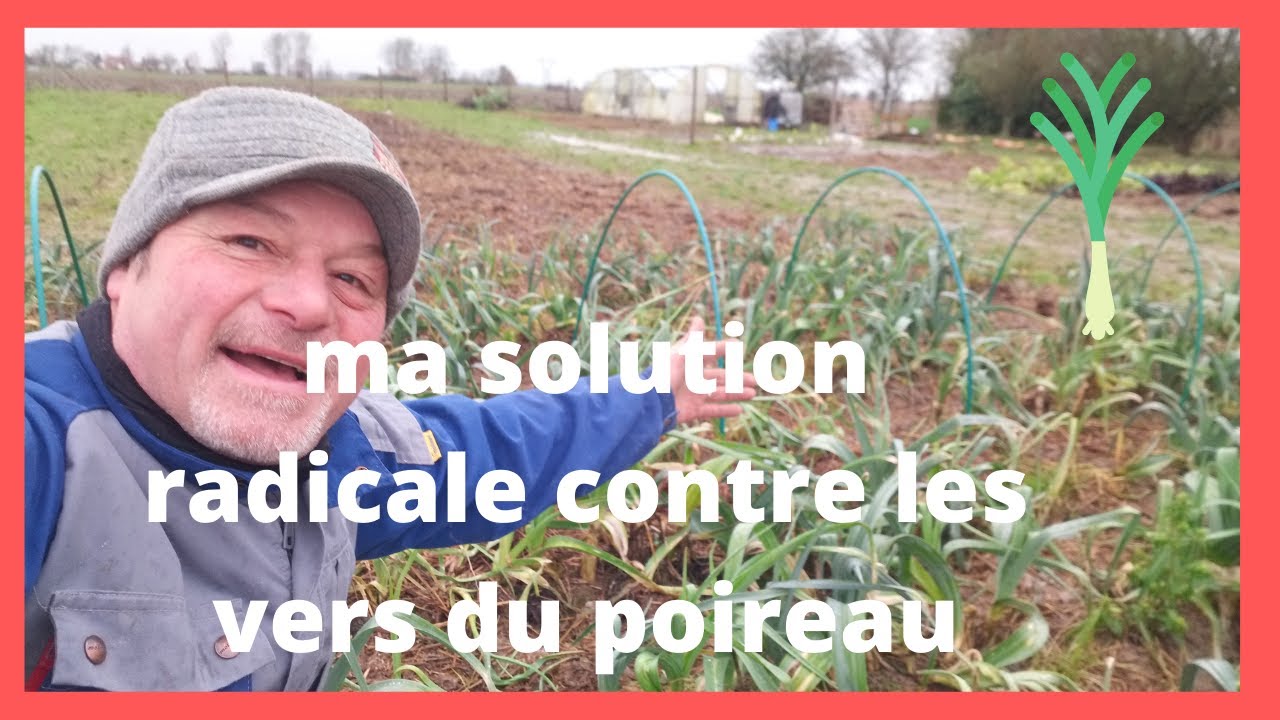 la solution radicale pour ne plus avoir de vers du poireau