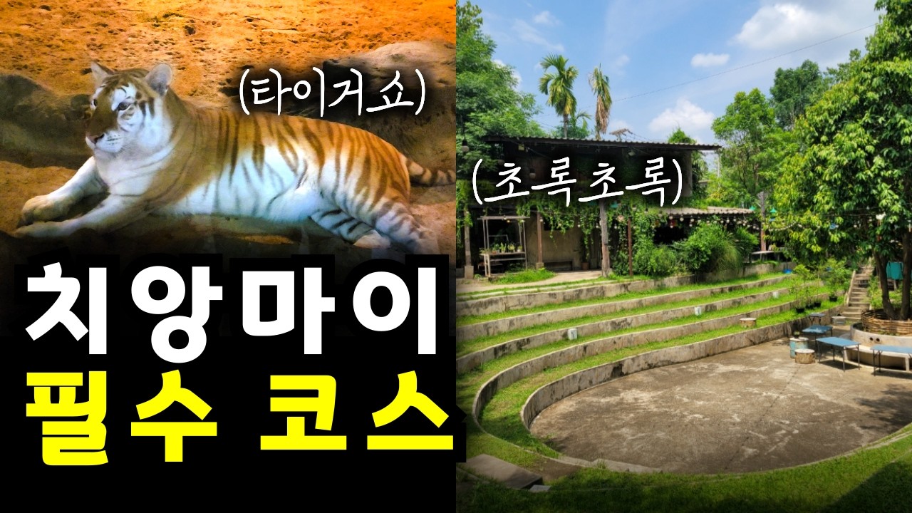 극소수만 아는 치앙마이 궁극의 만족도를 느낄 수 있는 곳ㅣ치앙마이
