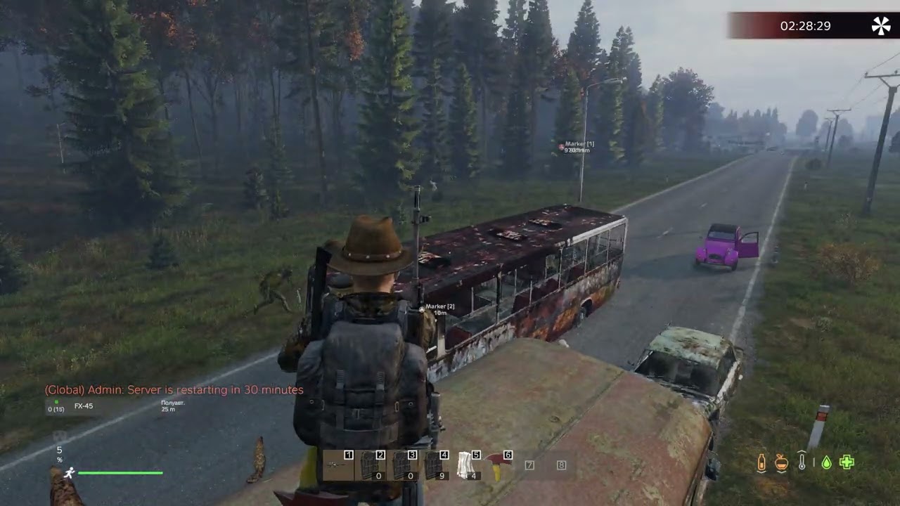 DayZ Zoo