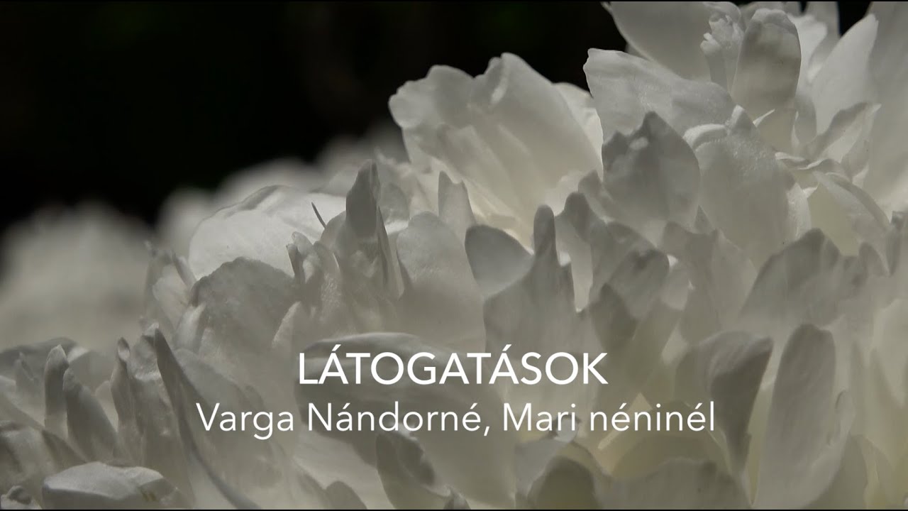 Palóc hagyományőrzés_2025 Látogatások Varga Nándorné Mari néninél Patak Nógrád vármegye