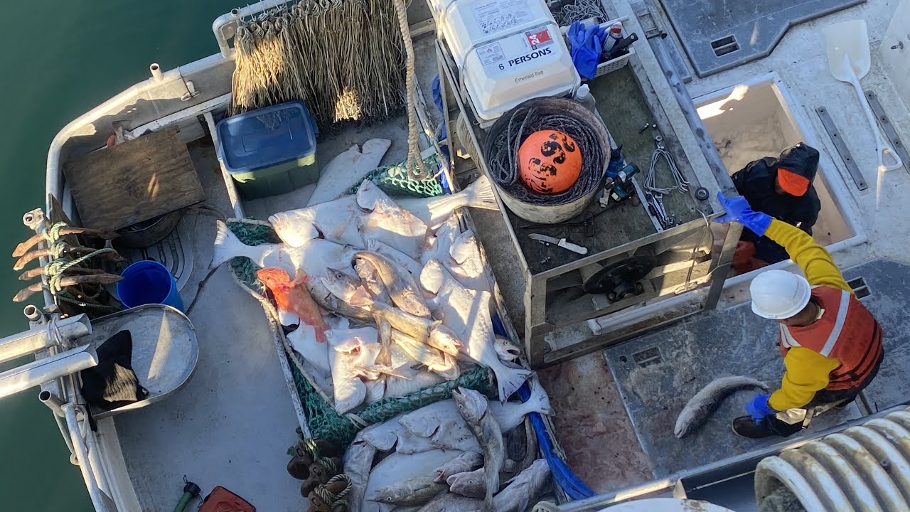 A Good Set At Last! - Final Set of the Trip and Delivering the Catch! | Alaska Halibut Fishing