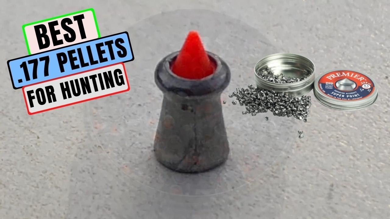 Best  .177 Pellets For Hunting You Can Buy In 2022
