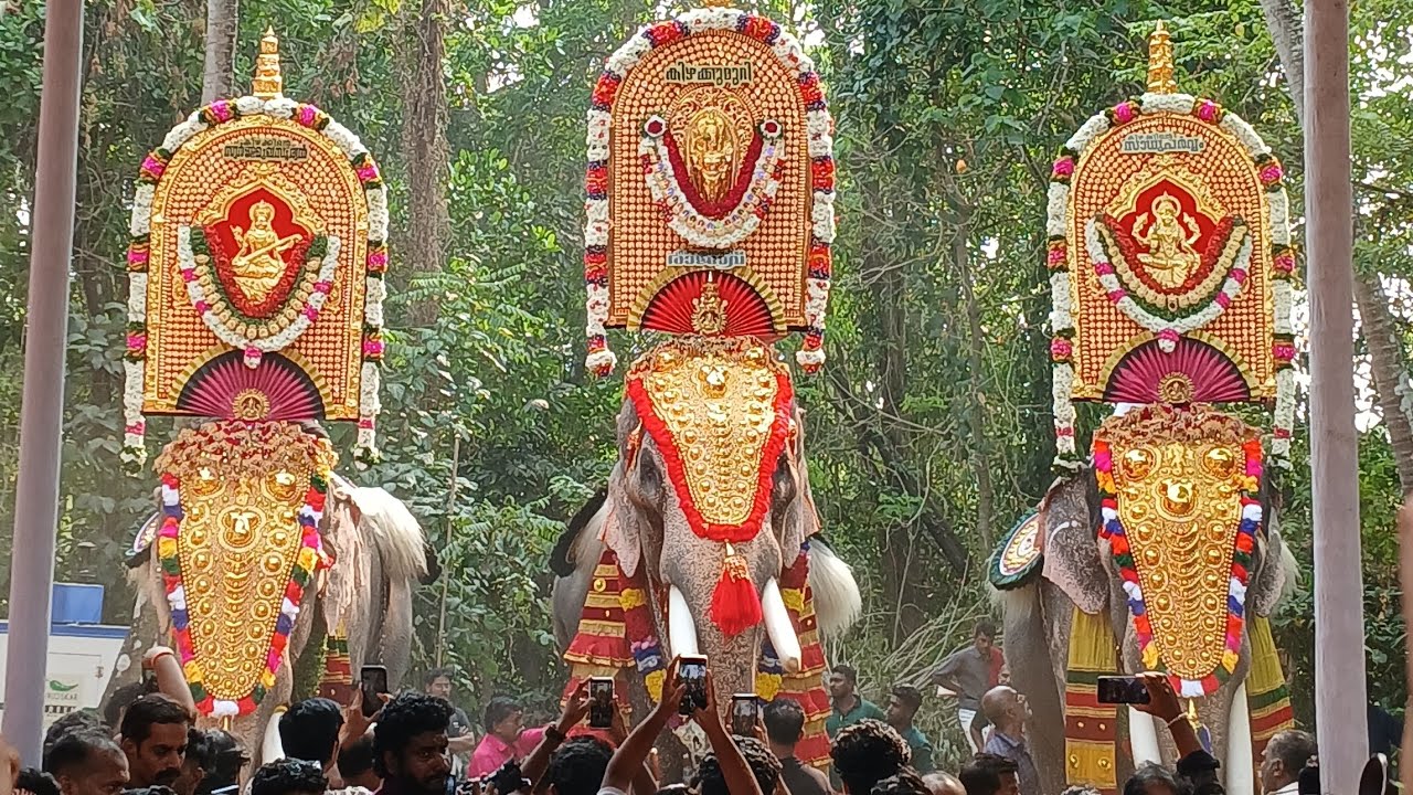 Thechikkottukavu Ramachandran@ Kurukkanpara കിഴക്കിന്റെ രാജാവാകാൻ ഇന്ന് കാവിലക്കാട് പൂരത്തിനായി രാമൻ