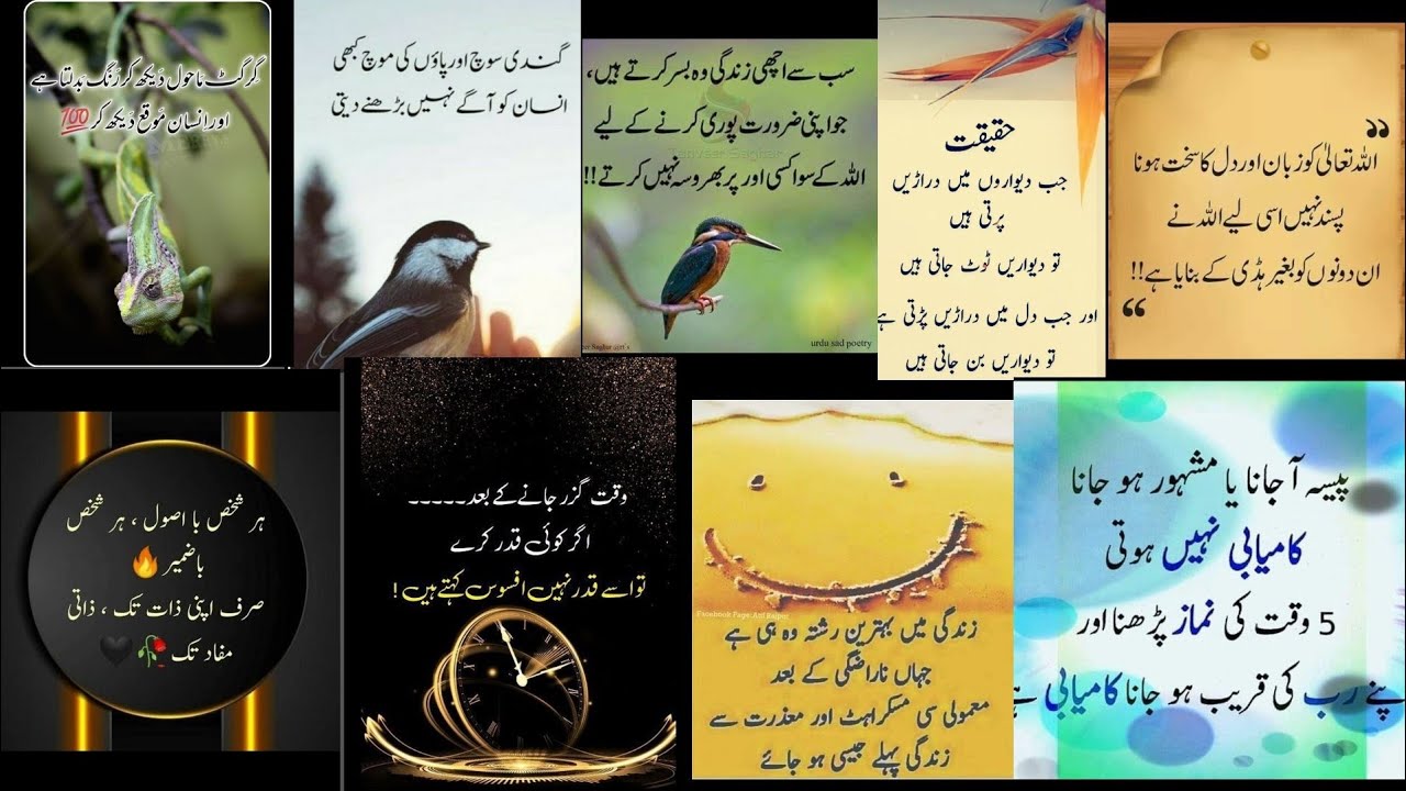 Islamic Quotes Urdu | Urdu Poetry | True Line Urdu Poetry | Kaneez Fatima Poetry Urdu Islamic quotes