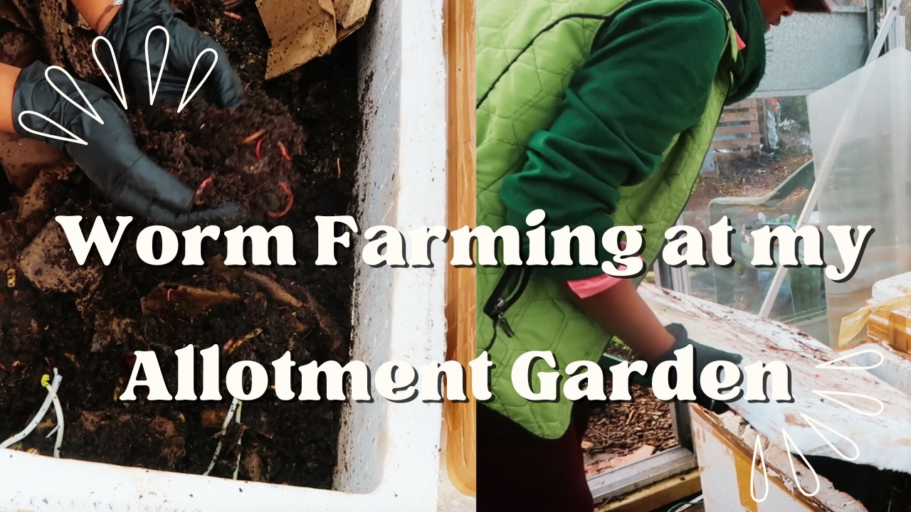 WORM FARMING at my allotment | ALLOTMENT GARDENING | VERMICULTURE
