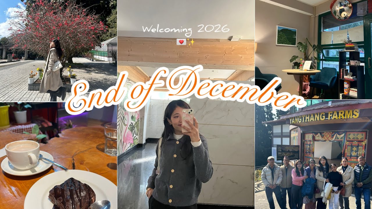 Life in Sikkim 🍒| End of 2025✨ | Dayout with family 💌 momo party 🎉 