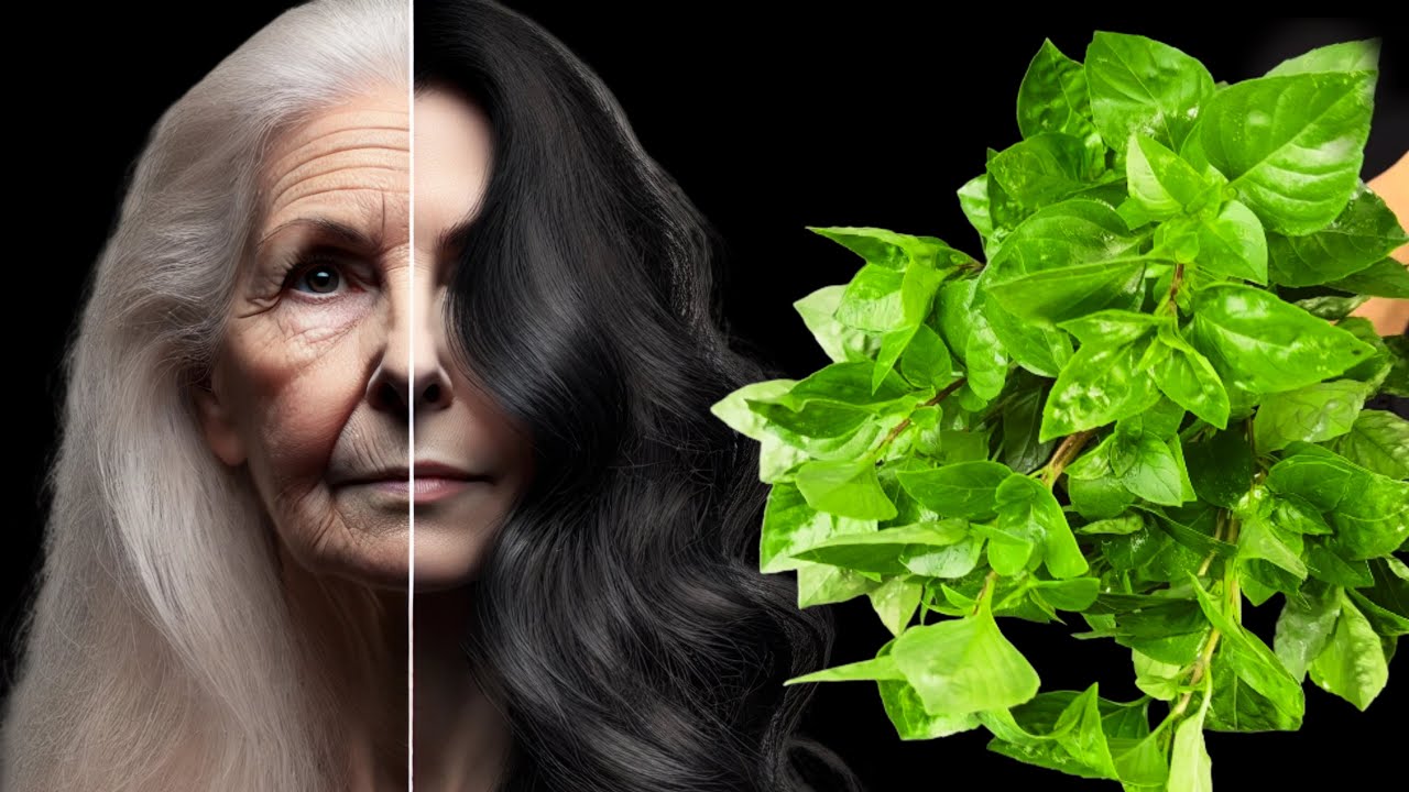 Моя бабушка в 67 выглядит как 35! 🌱Седые волосы становятся черными.