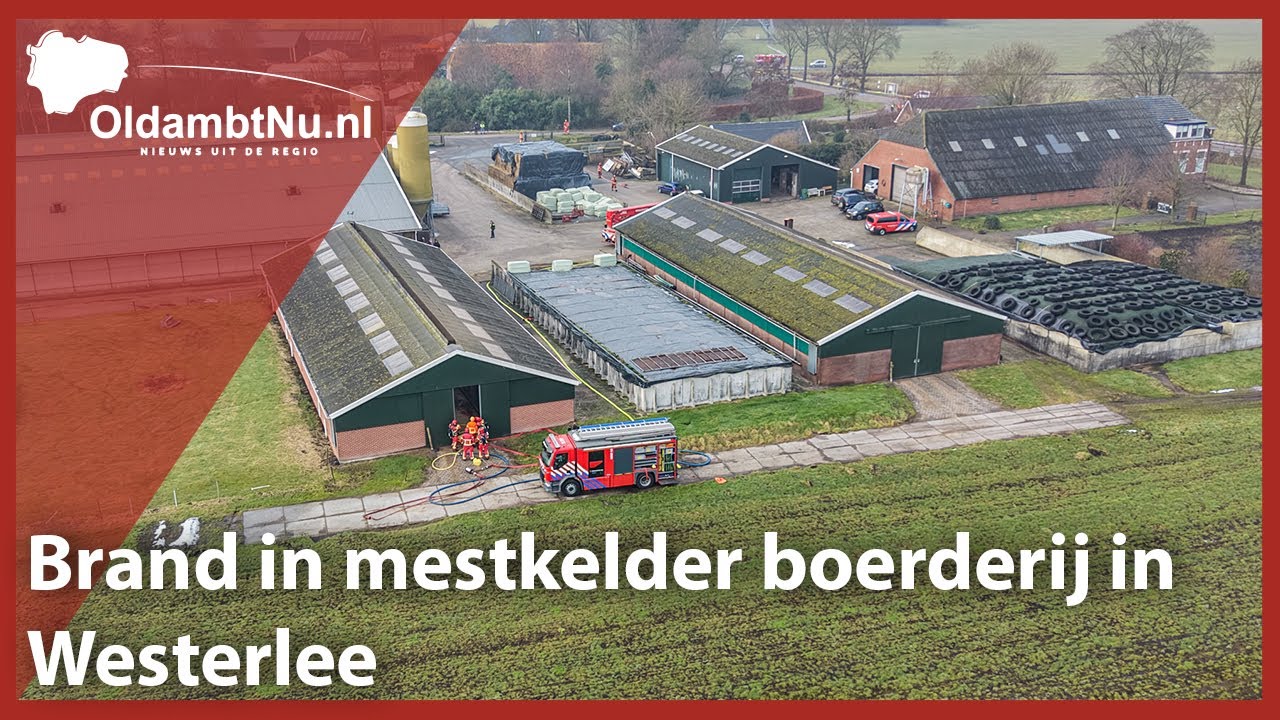 Brand in mestkelder boerderij in Westerlee