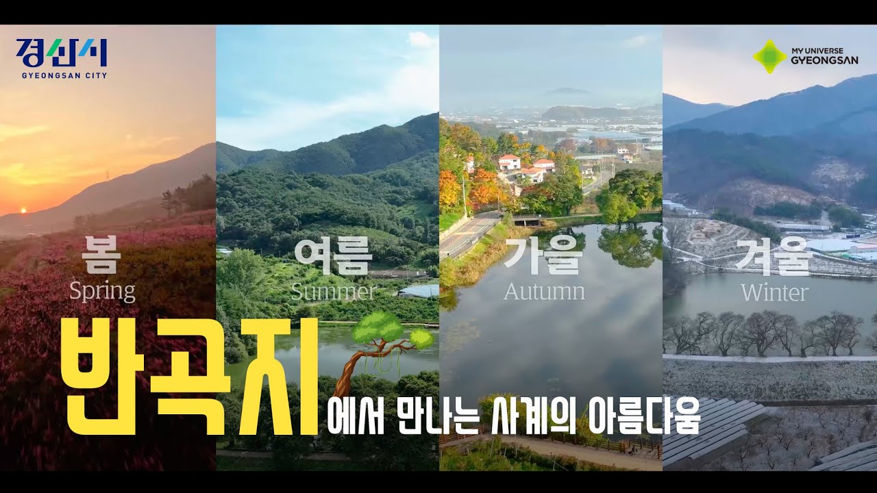 반곡지의 사계🌳